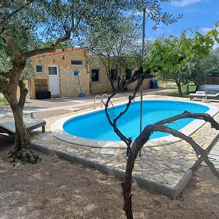 House Pulina 普纳特